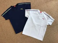 プーマ　VネックTシャツ　２枚