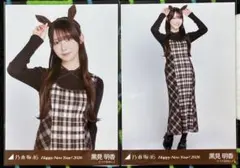 Item thumbnail for item 91aa35ef-3364-438f-9b2d-eafbb886a116