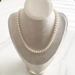 Item thumbnail for item bd427bfb-8ab0-4112-981a-c2218866e1dc