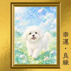 マルチーズ 幸福運・良縁運・愛情運上昇 開運アート 水彩画 額縁なし 風水