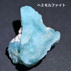 ヤモリ ホルマリン漬け 透明標本 - メルカリ
