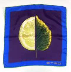 エトロ ETRO シルク100% ポケットチーフ 高級