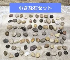 Item thumbnail for item 17a42dc8-d9d5-44b1-986d-7e11b747ce1a