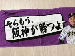 阪神タイガース 応援タオル そらもう阪神が勝つよのサムネイル