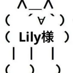Lily様専用