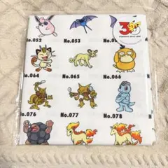 3COINS ポケモン BIGハンカチ