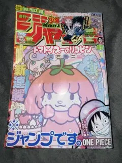週刊少年ジャンプ2017年45号 ONE PIECE付録 リコピン