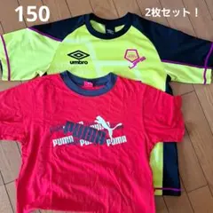 Tシャツ 150サイズ 2枚セット