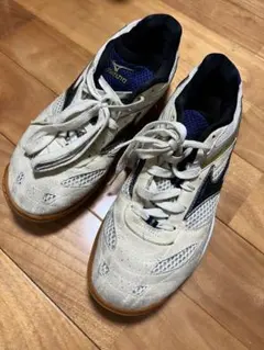 Item thumbnail for item 322d8fc5-3dd5-4c6b-85ce-0a275e14b7d3