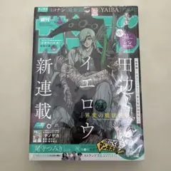 週刊少年サンデー2024年42 界変の魔法使い 新連載 田辺イエロウ 9月25