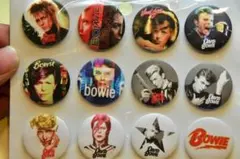 david bowie ミュージシャン