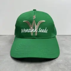 80s 90s ヴィンテージキャップ 企業もの WENSINK メッシュ 緑