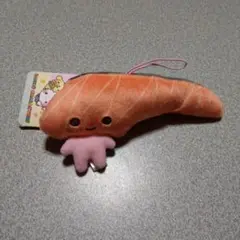 ゆるかわ　サンリオキャラクターズ　わいわいマスコット　KIRIMIちゃん