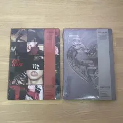 TREASURE LOVE PULSE2種セット　バラ売り⭕️