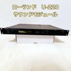 2026年最新】ローランド U-220の人気アイテム - メルカリ