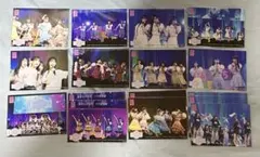 川村結衣 AKB48 春コン 2026 ランダム 生写真 4種コンプ 名残り桜