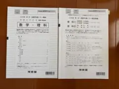 Item thumbnail for item ef727a61-e1dd-43b3-9a17-05e24b2ceb77