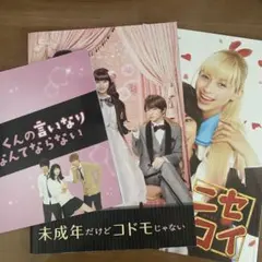 セクゾ 中島健人 パンフレット まとめ売り