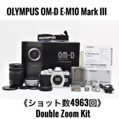 2026年最新】OM-D E-M10 Mark III ダブルズームキットの人気アイテム