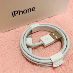 iPhone付属品 ライトニングケーブル 充電器