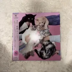 きのこ帝国 レコード 初回版3作品セット 特典付き - メルカリ