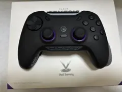 Void Gaming GENESIS