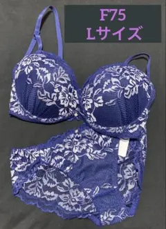 ブラショーツセット　F75 L ネイビー