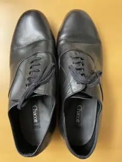 Item thumbnail for item 0cf664dc-de33-400b-8a9e-32904ede8cb0