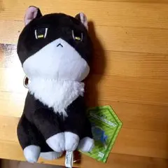 ◆ ヘタリア　ねこたりあ　リトルアクセサリー コレクション　全8種セット ◇ ヘタリア ねこたりあ リトルアクセサリー コレクション 全8種