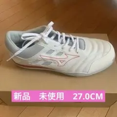 ミズノ安全靴