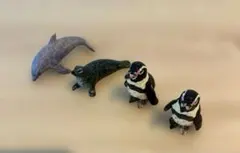 はしもとみお 水族館 ガチャ 江ノ島水族館のサムネイル