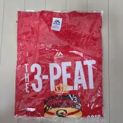 ソフトバンクホークス　　Tシャツ(Lサイズ)