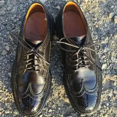 Regal Cordovan Long Wing Tip Shoes