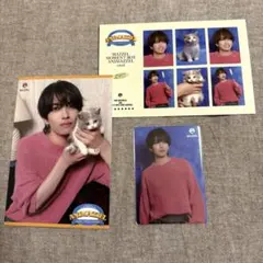MAZZEL EIKI アニマーゼル トレカ ポストカード