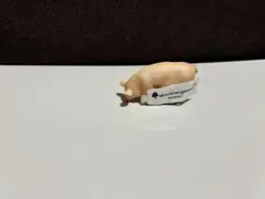 Miniatureplanet ヨークシャー(豚) ミニチュアプラネットのサムネイル