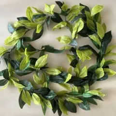 フラダンス レイ