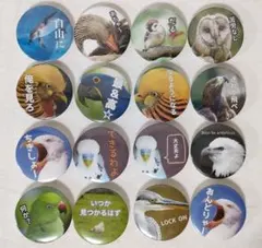 ハンドメイド 動物 アニマル 鳥 アテレコ缶バッジ バラ売り可能 計16個
