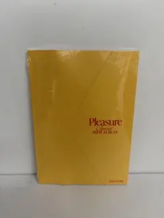 TREASURE ミニアルバム Pleasure