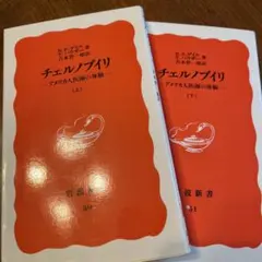 ロバート・ピーター ゲイル 『チェルノブイリ―アメリカ人医師の体験　上下