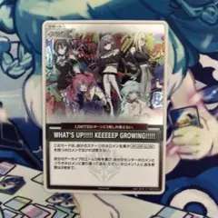What's up!! keeeeep Growing!!!!! プロモ　ホロカ ホロカ WHAT'S UP!!! KEEEEEP GROWING!!! プロモ - メルカリ