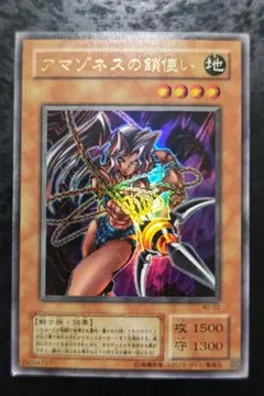 2026年最新】アマゾネスの鎖使いの人気アイテム - メルカリ