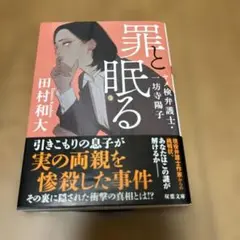 罪と眠る ヤメ検弁護士・一坊寺陽子
