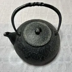 時代 南部鉄器 宝生堂 鉄瓶 瓢箪 瓢子 急須 煎茶道具 茶道具 - メルカリ