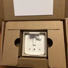 Apple AirPods Pro 交換用イヤーピース