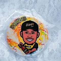 若鷹ガチャ ジーターダウンズ 缶バッジ