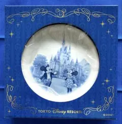 【非売品】（未使用）東京ディズニーリゾート イヤープレート