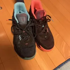 今日のゲリラ価格DAME9 27.0㎝ 今日のゲリラ価格DAME9 27.0㎝ - メルカリ