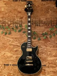 2025年最新】HISTORY レスポールの人気アイテム - メルカリ