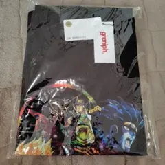 新品/未開封】GADORO Tシャツ 半袖 XL 公式グッズ 日本武道館 - メルカリ