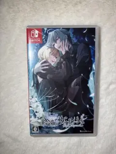 2025年最新】終遠のヴィルシュ switchの人気アイテム - メルカリ